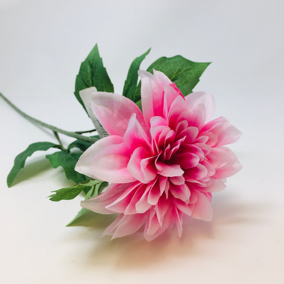 Single Dahlia w/ Leaves 28&quot;H