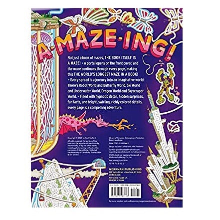 Mega-Maze Adventure! Book